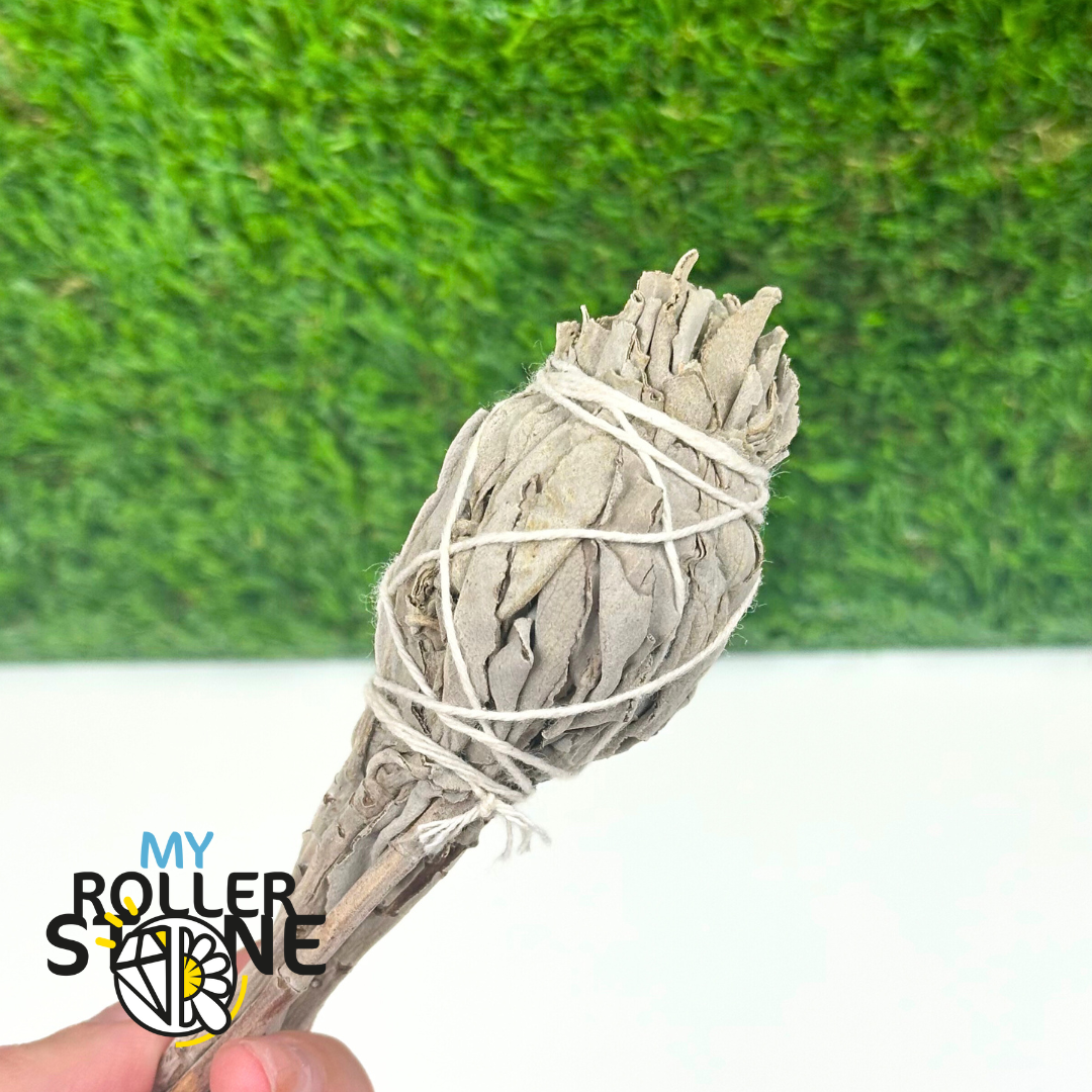 Torche de sauge blanche