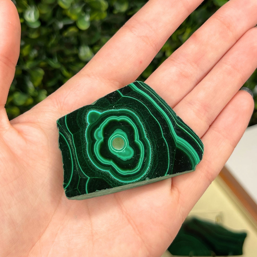 Tranche de Malachite N°1
