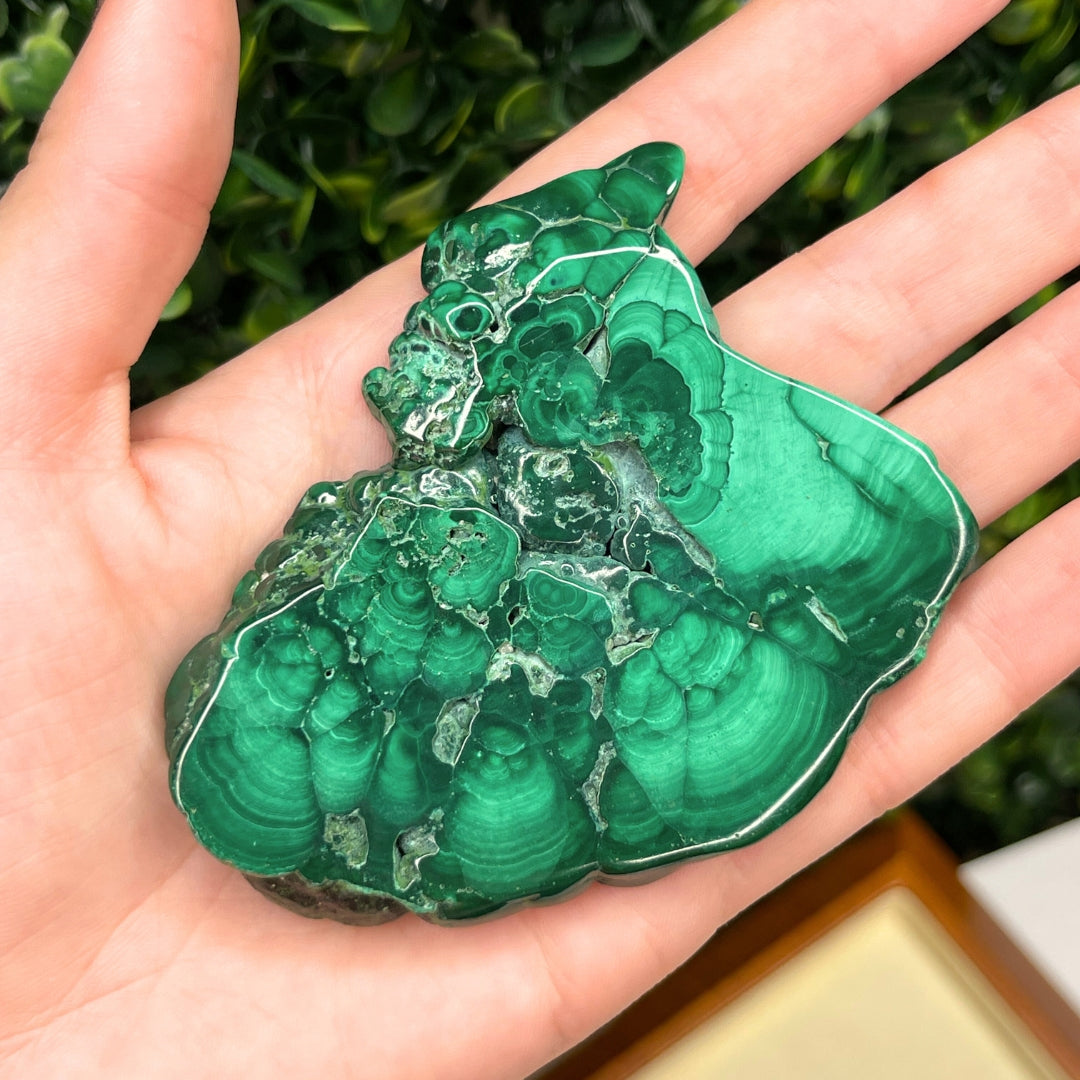 Tranche de Malachite N°1