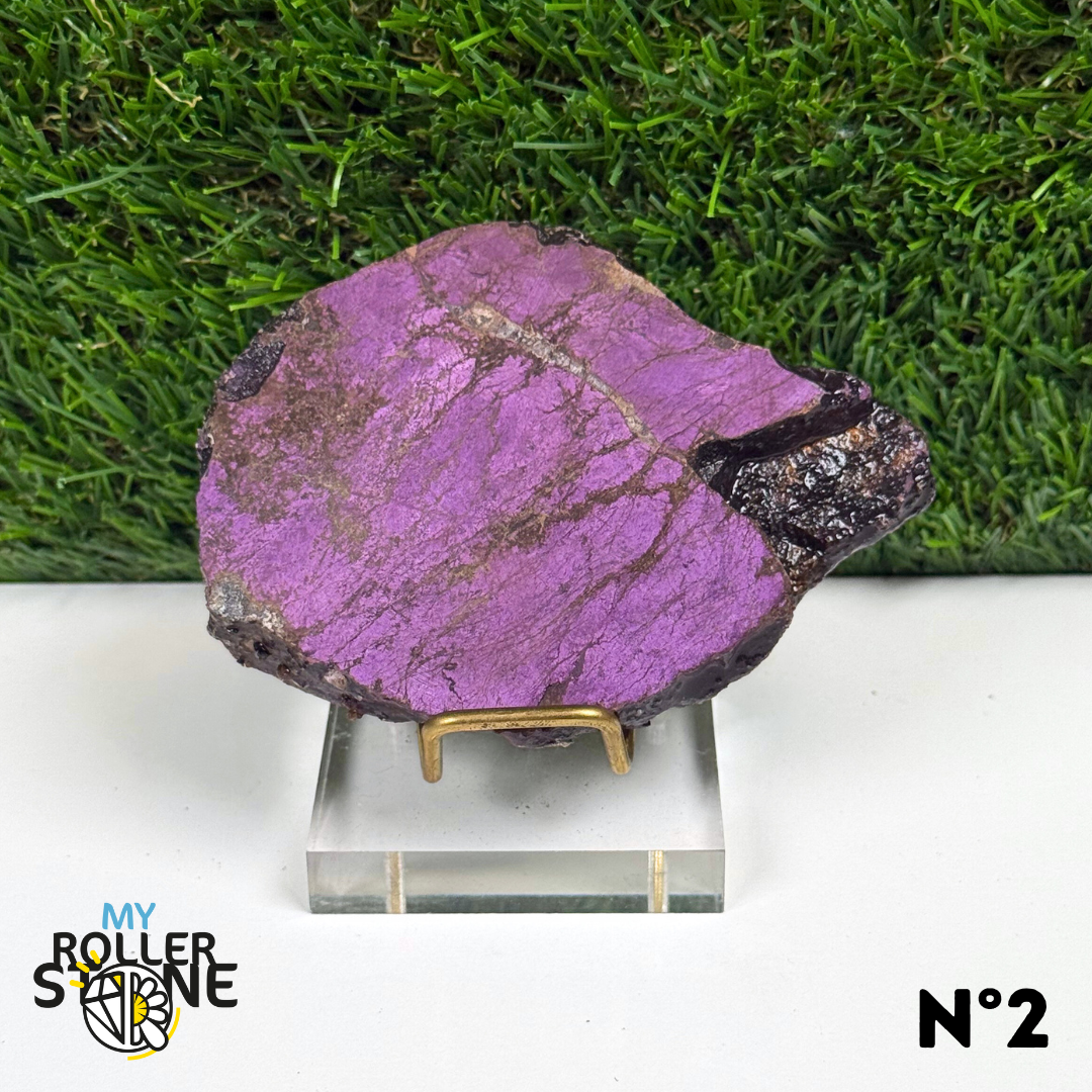 Tranche de Purpurite Brute
