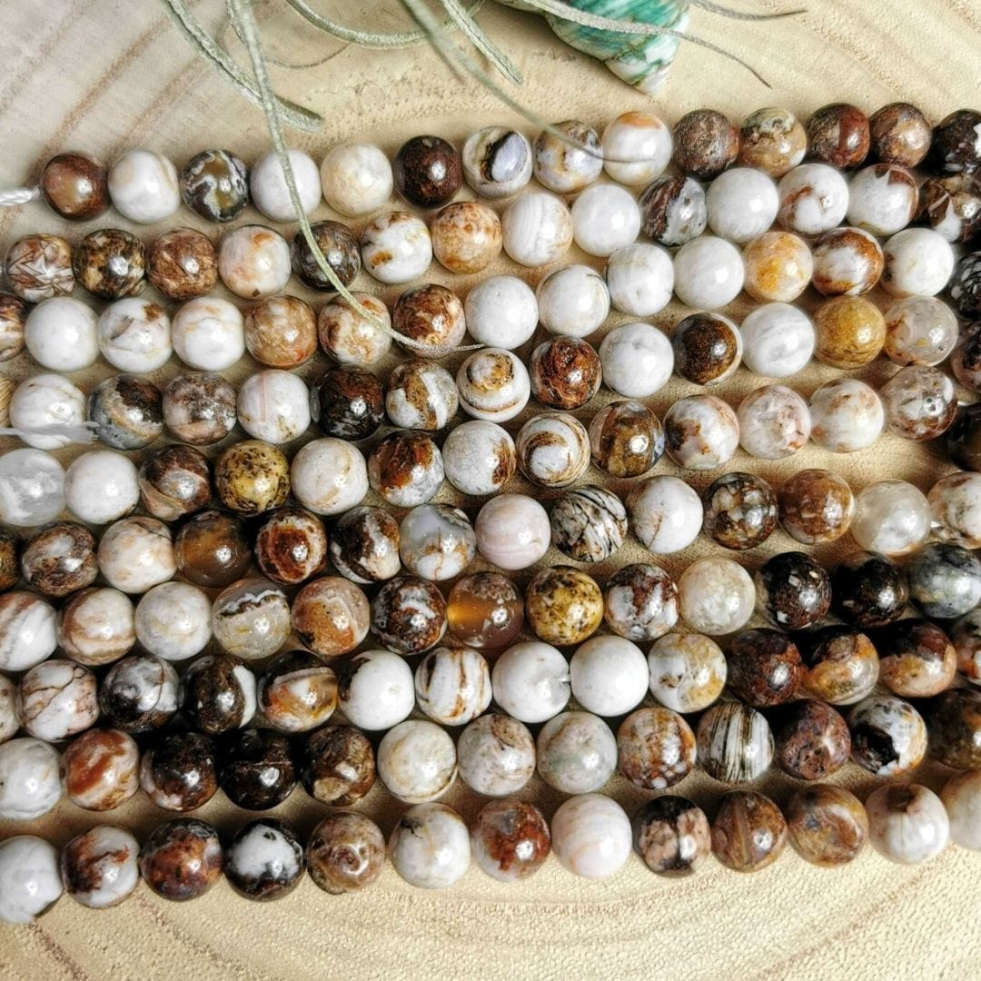 Perle bois pétrifié (Amérique du nord)